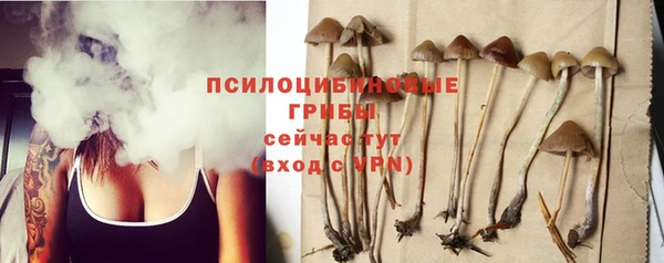 гидропоника Армянск