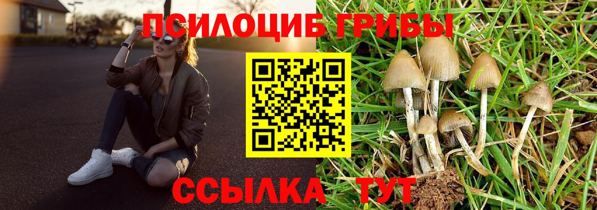 Псилоцибиновые грибы GOLDEN TEACHER Арсеньев